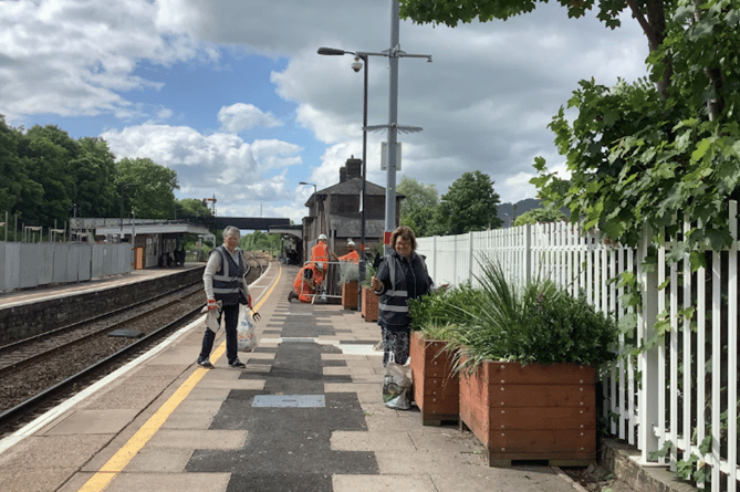 Aber in Bloom