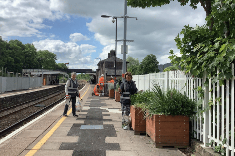 Aber in Bloom