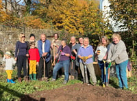 Abergavenny blooms with community effort