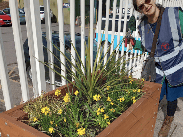 Aber in Bloom