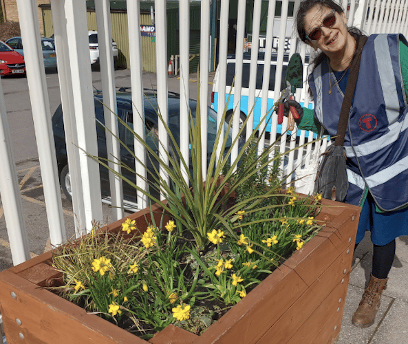 Aber in Bloom