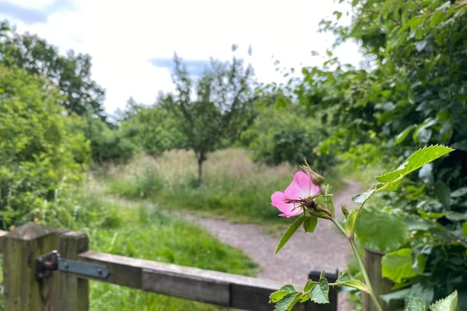  Laurie Jones Community Orchard core group