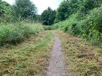 
Council clears a path through Abergavenny ‘jungle!’