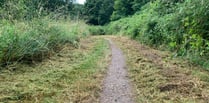 
Council clears a path through Abergavenny ‘jungle!’