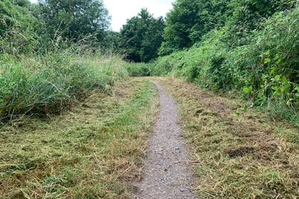 
Council clears a path through Abergavenny ‘jungle!’