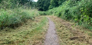 
Council clears a path through Abergavenny ‘jungle!’