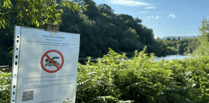 Hay-on-Wye bathing spot closed to swimmer after bugs found