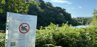 Hay-on-Wye bathing spot closed to swimmer after bugs found