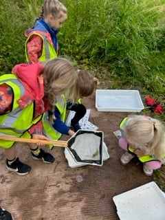 Friends of Castle Meadows