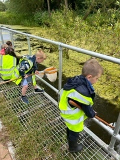 Friends of Castle Meadows