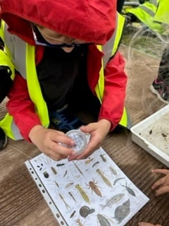 Friends of Castle Meadows