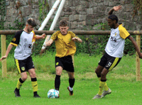 Sting in the tail from Clydach Wasps