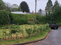 Council verge officially green lighted for local garden