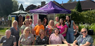 Summer fun picnic for foster families in Abergavenny