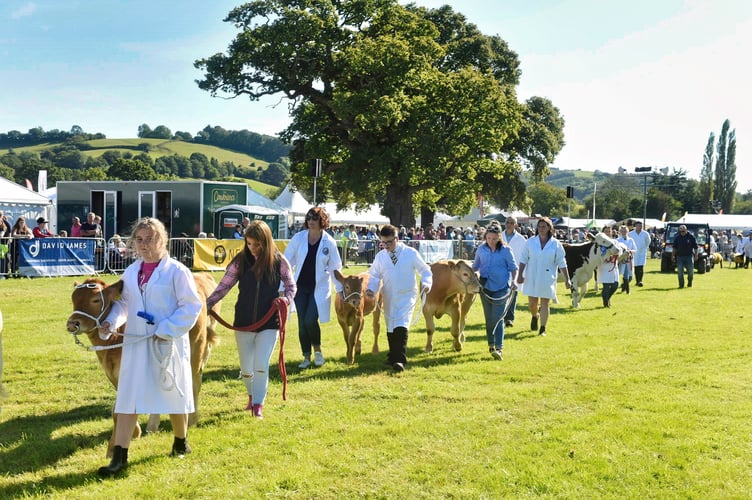 Main Parade of champion animals just one of the highlights