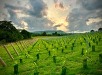 
A tour of Monmouthshire’s vineyards