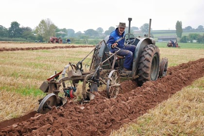 Annual ploughing match returns on Sunda