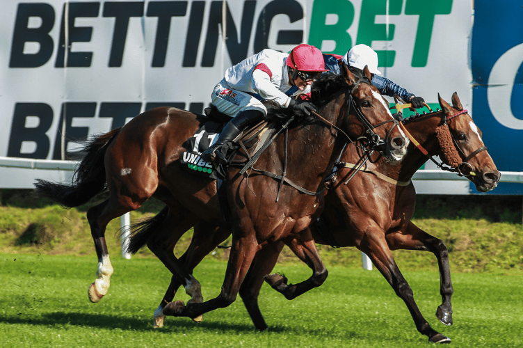 Pachacuti holds off Lusaka in the Welsh Jump Jockeys' Derby at Chepstow