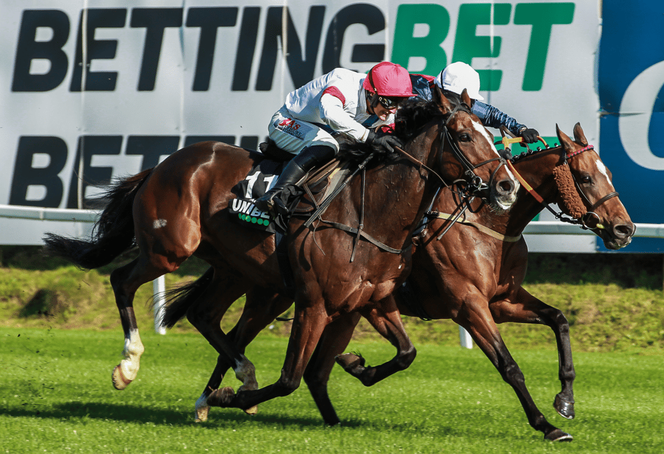 Tudor takes Welsh Jump Jockeys Derby