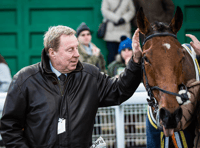 Harry's set to Shakem Up at county's racecourse