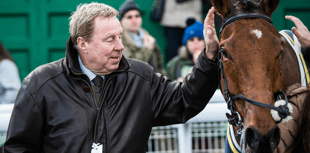 Harry's set to Shakem Up at county's racecourse