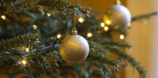 The Editor writes: The annual search for the perfect Christmas tree