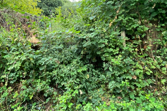 An impassable stile on a right of way on Manson Lane a mile from Monmouth