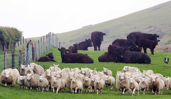 Local farmers wanted to help navigate the path to net zero 