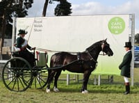 Equine judges announced for Royal Welsh Show