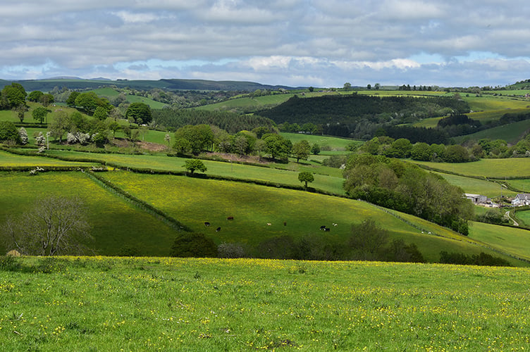 countryside