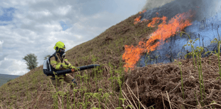 Firefighters battle Cwmdu wildfire