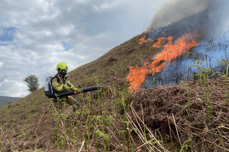 Grass Fires Wales